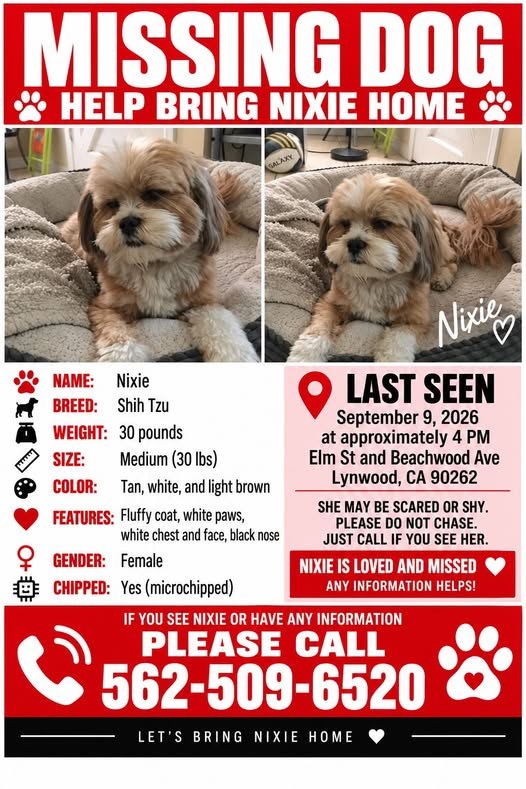 Lost Dog in Lynwood, California — listing photo