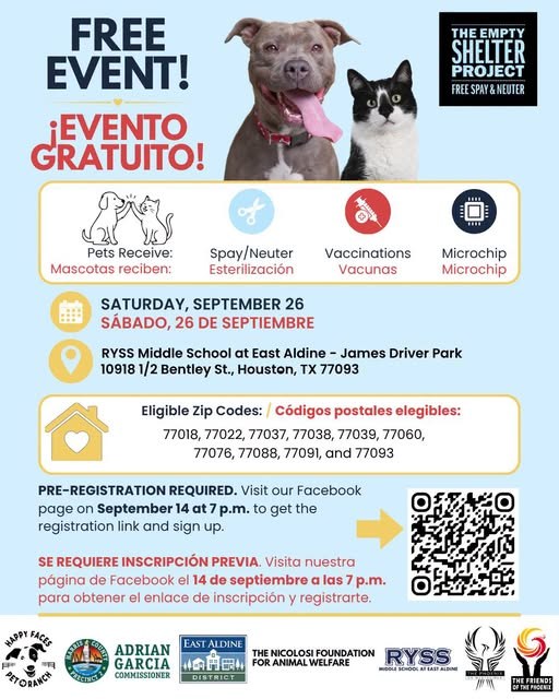 lost dog in Houston, Texas
