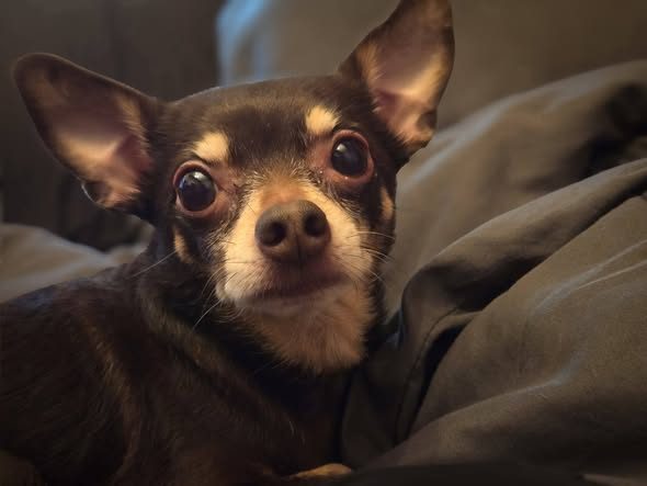 I am still offering a $2,500 reward for information that leads to her being found