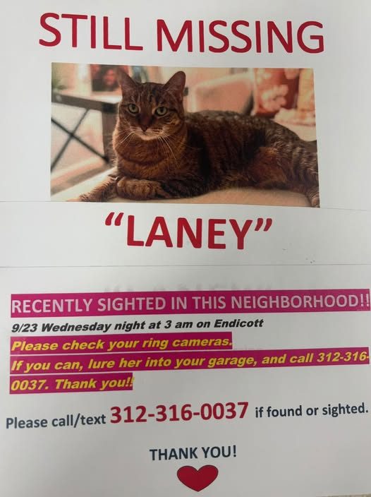 Found Pet in Fort Sheridan, Illinois — Sighted last night