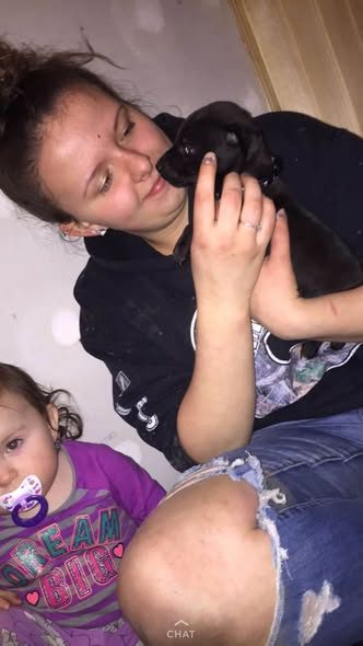 Lost Dog in Tully, New York — Tully, NY could be anywhere by now It’s been almost a month since our dog Rocky got out
