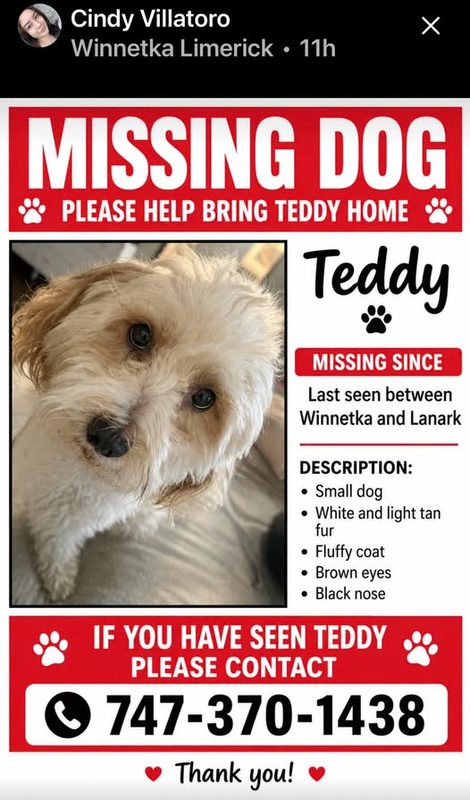 Lost Dog in Winnetka, California — Screenshot from, Nextdoor, Lost dog, Winnetka, CA Winnetka, California, 91306 (click on photo…