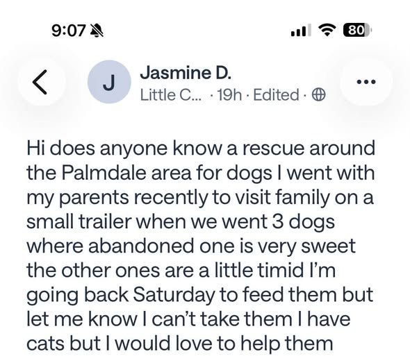 Found Dog in Palmdale, California — URGENT!!️ dog people — additional photo 2